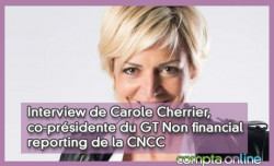 Interview de Carole Cherrier, co-présidente du GT Non financial reporting de la CNCC