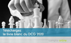 Le livre blanc du DCG 2020