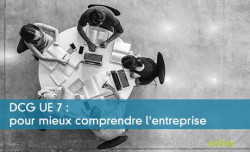 DCG UE7 : pour mieux comprendre l'entreprise