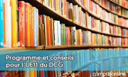 Programme et conseils pour l'UE11 du DCG