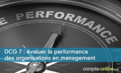 DCG 7 : évaluer la performance des organisations en management