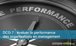 DCG 7 : valuer la performance des organisations en management