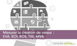 Mesurer la cration de valeur : EVA, ROI, ROE, TSE, MVA