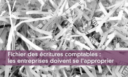 Fichier des écritures comptables : les entreprises doivent se l'approprier