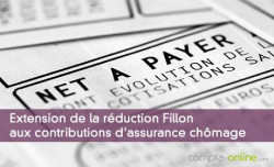 Extension de la rduction Fillon aux contributions d'assurance chmage