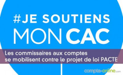 Les commissaires aux comptes et la loi PACTE