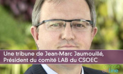 Une tribune de Jean-Marc Jaumouillé, Président du comité LAB du CSOEC