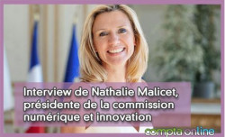 Interview de Nathalie Malicet, présidente de la commission numérique et innovation
