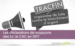 Les dclarations de soupons des EC et CAC en 2017