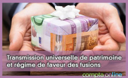 Transmission universelle de patrimoine et rgime de faveur des fusions