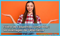 Filire de l'expertise comptable : les avantages de l'alternance