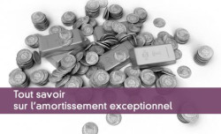 Amortissements exceptionnels