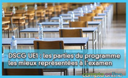 DSCG UE1 : les parties du programme les mieux représentées à l'examen
