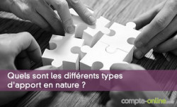 Quels sont les diffrents types d'apport en nature ?