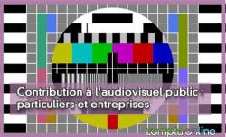 Contribution à l'audiovisuel public : particuliers et entreprises