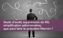 Seuils d'audit, suppression du RSI,  simplification administrative