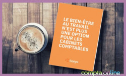 Livre blanc  Comment tre un cabinet d'expertise attractif ? 