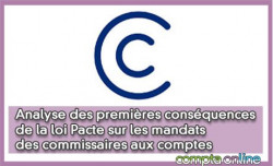 Analyse des premires consquences de la loi Pacte sur les mandats des commissaires aux comptes