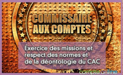 Exercice des missions et respect des normes et de la dontologie du CAC