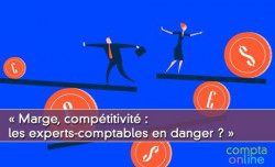  Marge, comptitivit : les experts-comptables en danger ? 