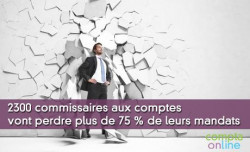 2300 commissaires aux comptes vont perdre plus de 75 % de leurs mandats