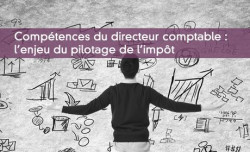 Comptences du directeur comptable : l'enjeu du pilotage de l'impt