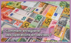 Comment enregistrer des oprations en devises ?