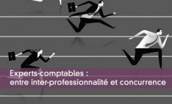 Experts-comptables : entre inter-professionnalité et concurrence