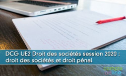 DCG UE2 Droit des socits session 2020 : droit des socits et droit pnal