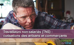 TNS : cotisations des artisans et commerçants