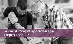 Le crdit d'impt apprentissage jusqu'au Bac + 2