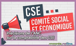 Prcisions de l'ANC sur la comptabilit des CSE