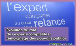 volution du rle des experts-comptables : tmoignage des pouvoirs publics