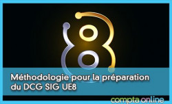 Mthodologie pour la prparation du DCG Systme d'information de gestion