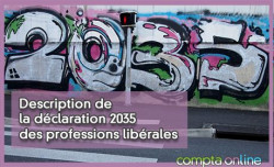 Description de la déclaration 2035 des professions libérales
