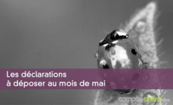 Les dclarations  dposer au mois de mai