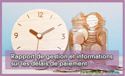 Rapport de gestion et informations sur les dlais de paiement