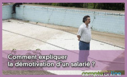 Comment expliquer la dmotivation d'un salari ?