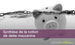 Synthse de la notion de dette mezzanine