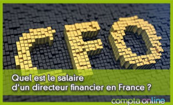 Quel est le salaire d'un directeur financier en France ?