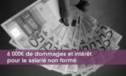 6 000 de dommages et intrt pour le salari non form