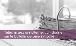 Tlchargez gratuitement un dossier sur le bulletin de paie simplifi