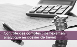 Contrle des comptes : de l'examen analytique au dossier de travail