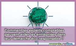 Comment les experts-comptables peuvent aider les entreprises dans leur dmarche co-responsable ?