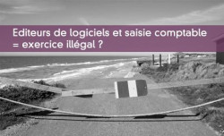 Editeurs de logiciels et saisie comptable  = exercice illgal ?