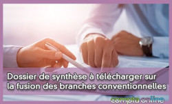 Dossier de synthse  tlcharger sur la fusion des branches conventionnelles