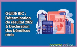 GUIDE BIC : Dtermination du rsultat 2022 & Dclaration des bnfices rels