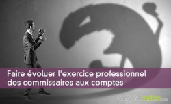 Faire voluer l'exercice professionnel des commissaires aux comptes