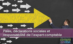 Paies, dclarations sociales et responsabilit de l'expert-comptable