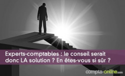 Experts-comptables : le conseil serait donc LA solution ? En tes-vous si sr ?